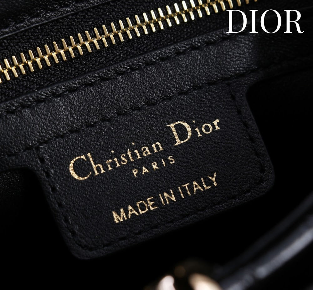 Anum Bags Diorn Luxury Bag --114796