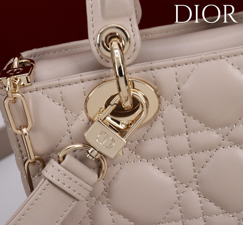 Ezyycart Bags Diorn Luxury Bag --115421