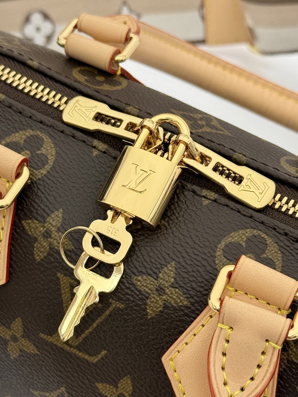 Anum Bags LVn Luxury Bag --80781