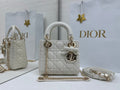 Ezyycart Bags Diorn Luxury Bag --115413