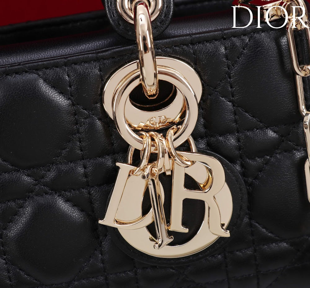 Ezyycart Bags Diorn Luxury Bag --115414