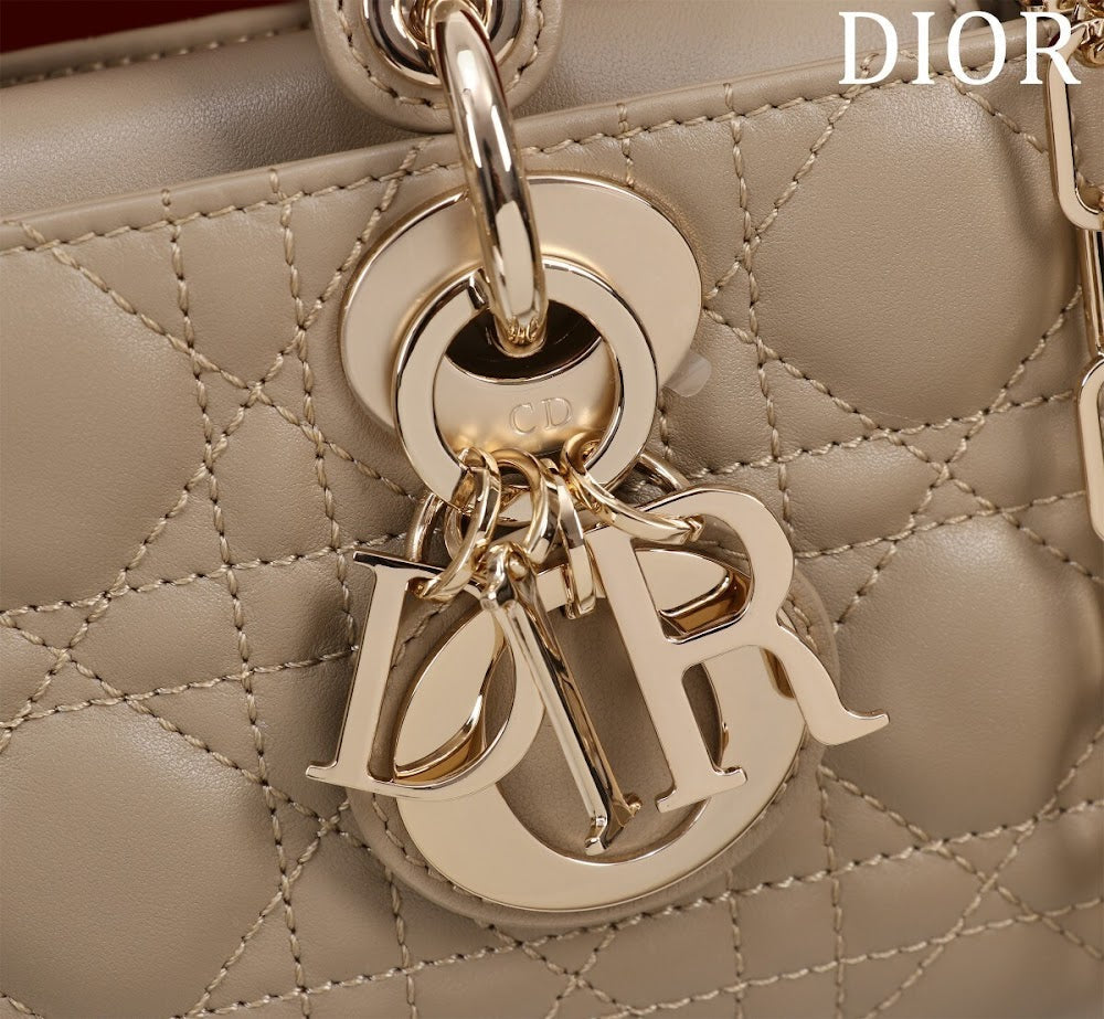 Anum Bags Diorn Luxury Bag --114768