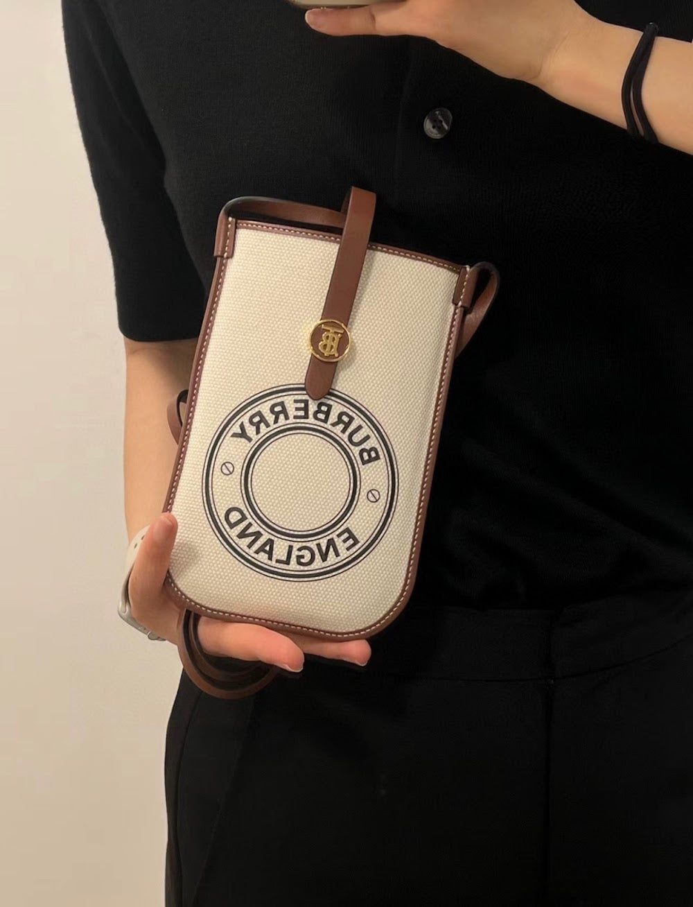 Ezyycart Bags Luxury Bag --50234