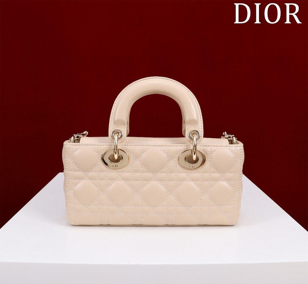 Anum Bags Diorn Luxury Bag --114761