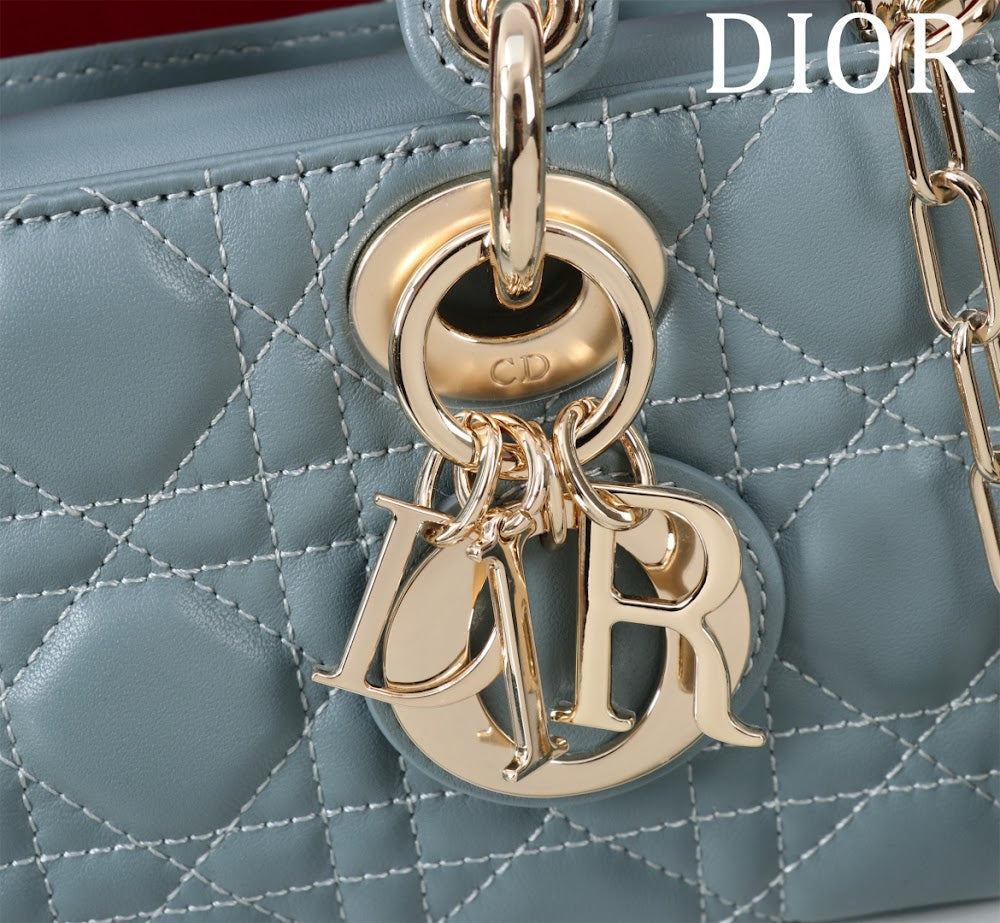 Anum Bags Diorn Luxury Bag --114725