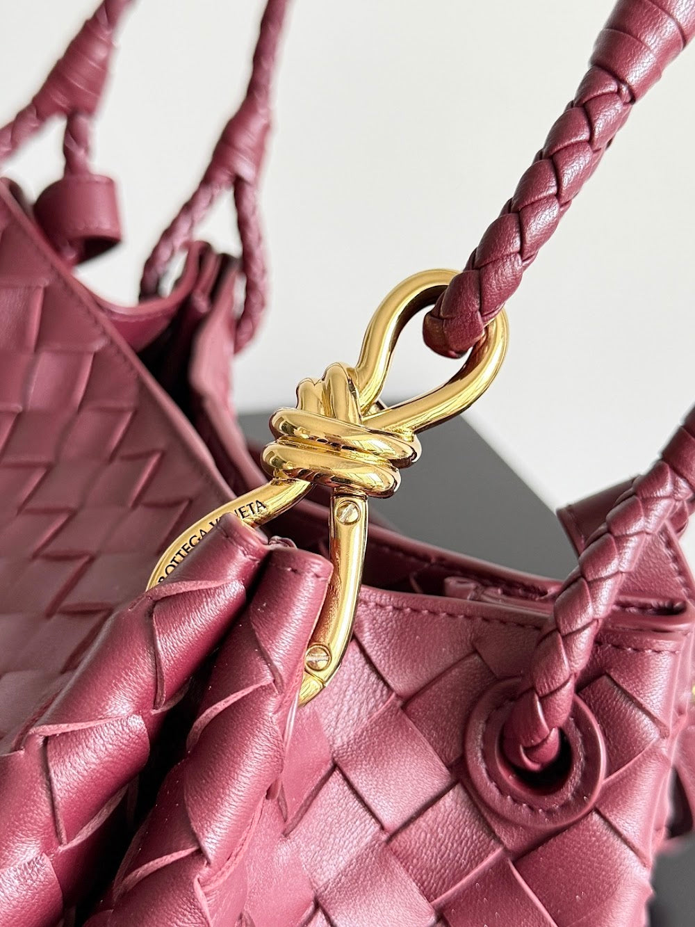 Ezyycart Bags Bottegan Luxury Bag --91384
