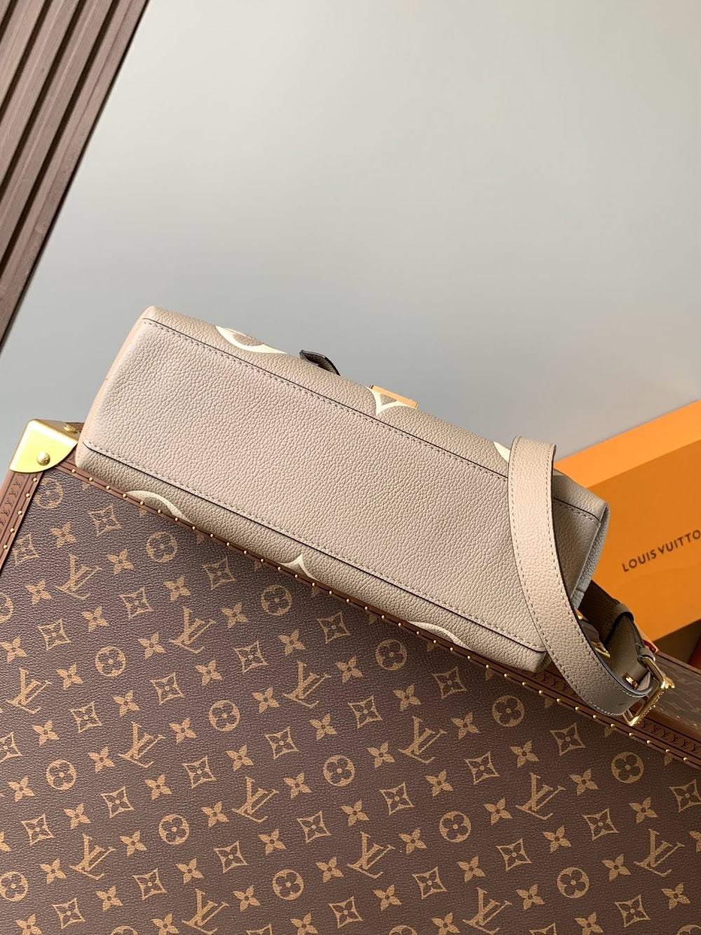Anum Bags LVn Luxury Bag --81038