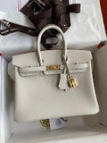 new-luxury-designer-bags-nm11335
