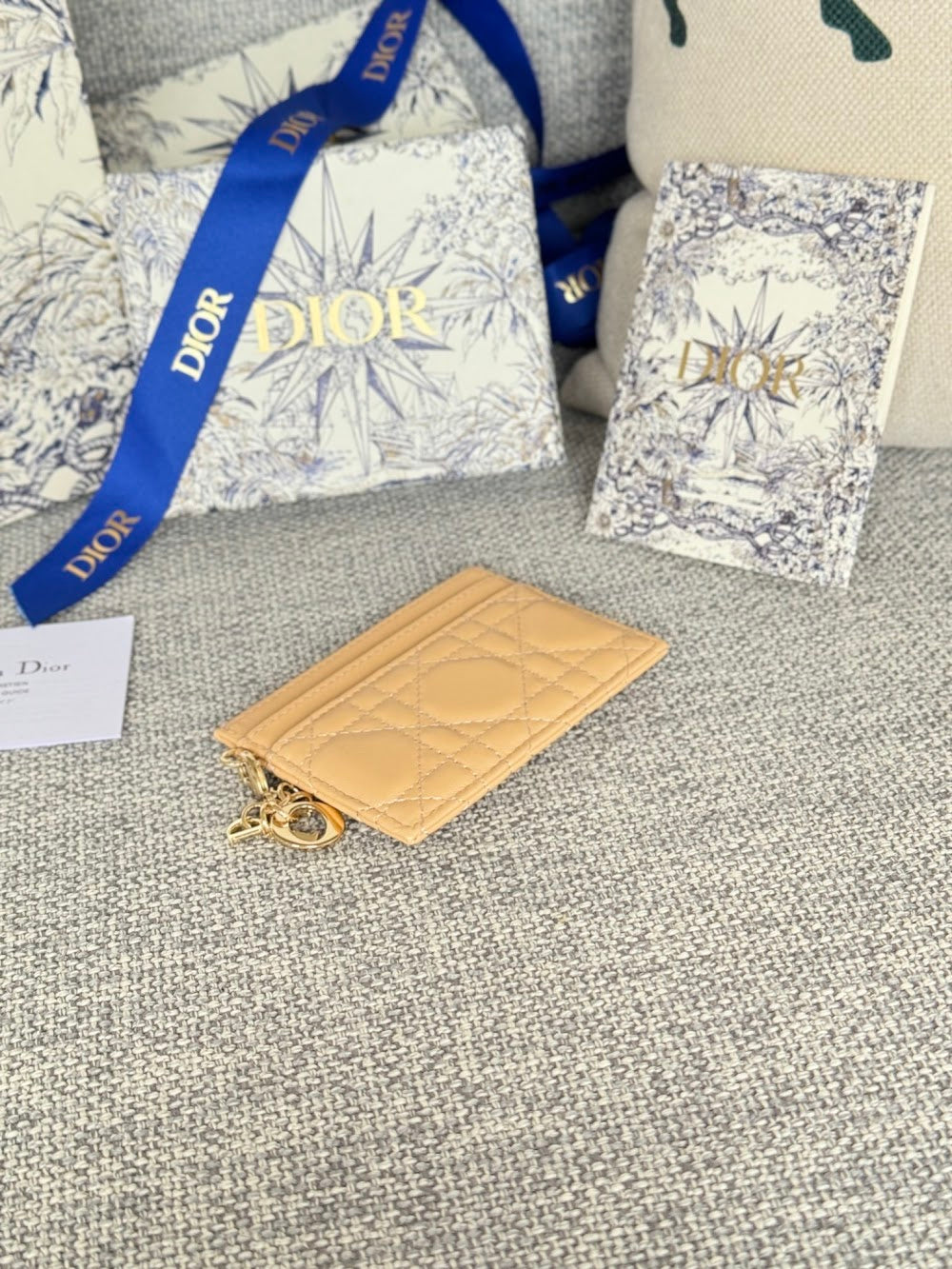 Anum Bags Diorn Luxury Bag --114683