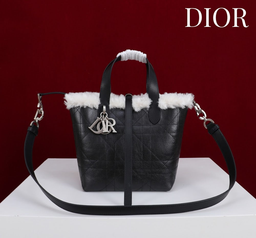 Anum Bags Diorn Luxury Bag --114886