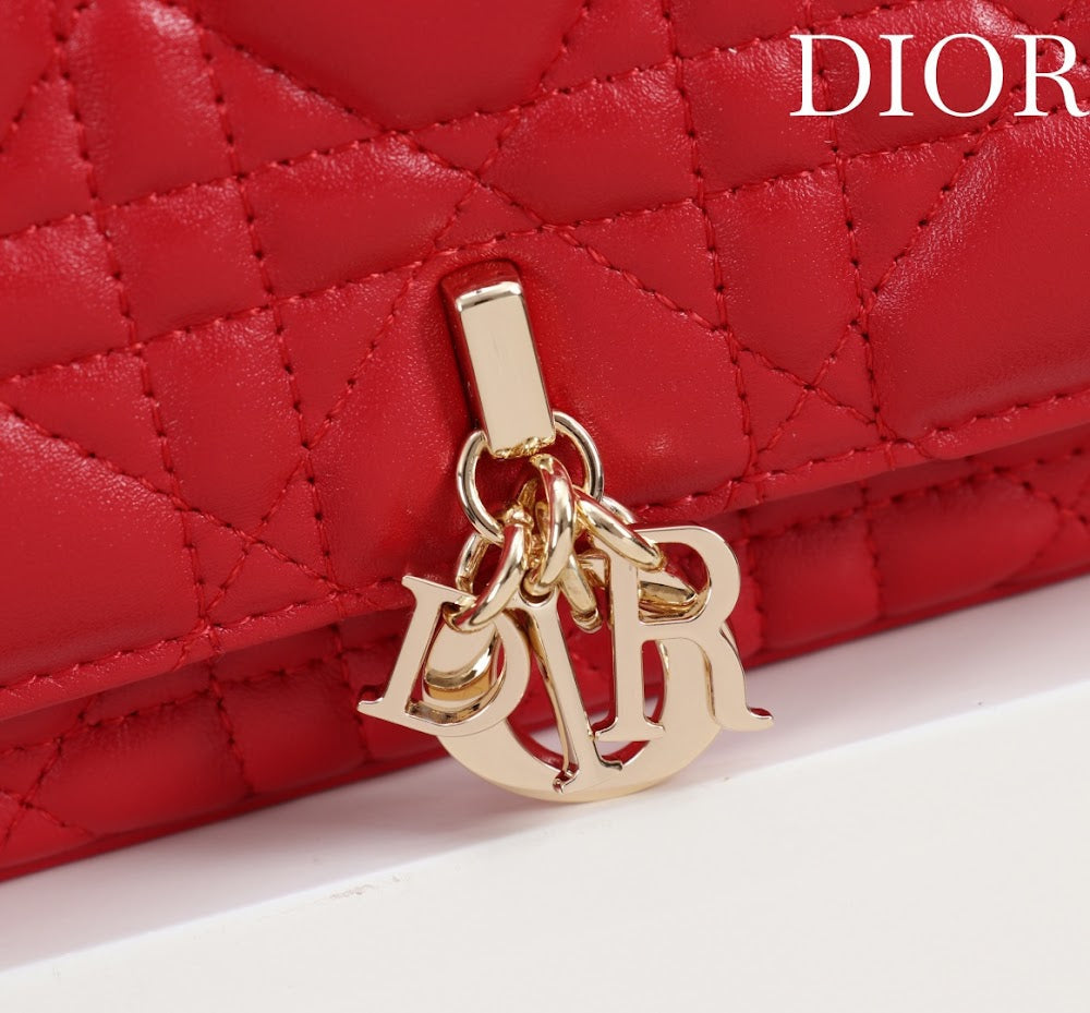 Ezyycart Bags Diorn Luxury Bag --116347