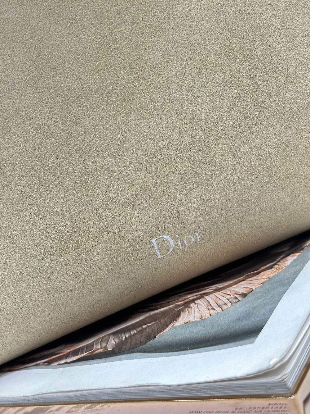 Ezyycart Bags Diorn Luxury Bag --115544