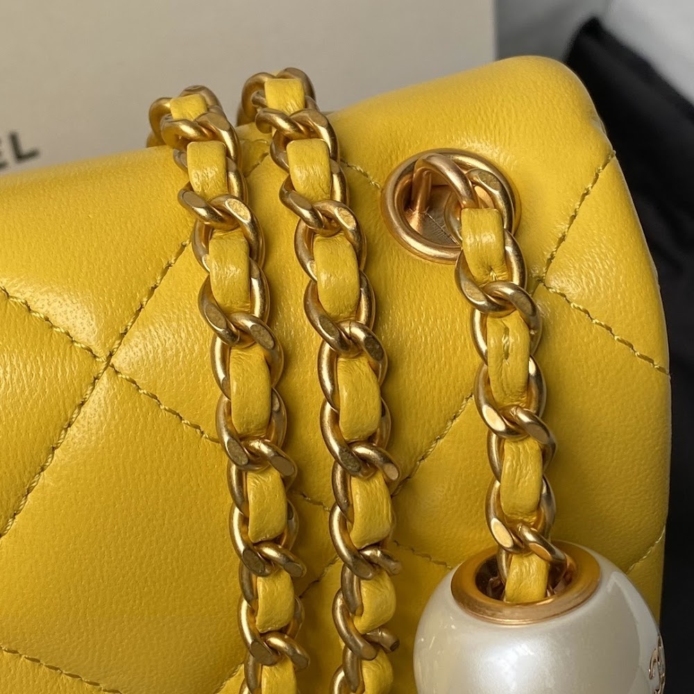 new-designer-premium-bags-nm10316