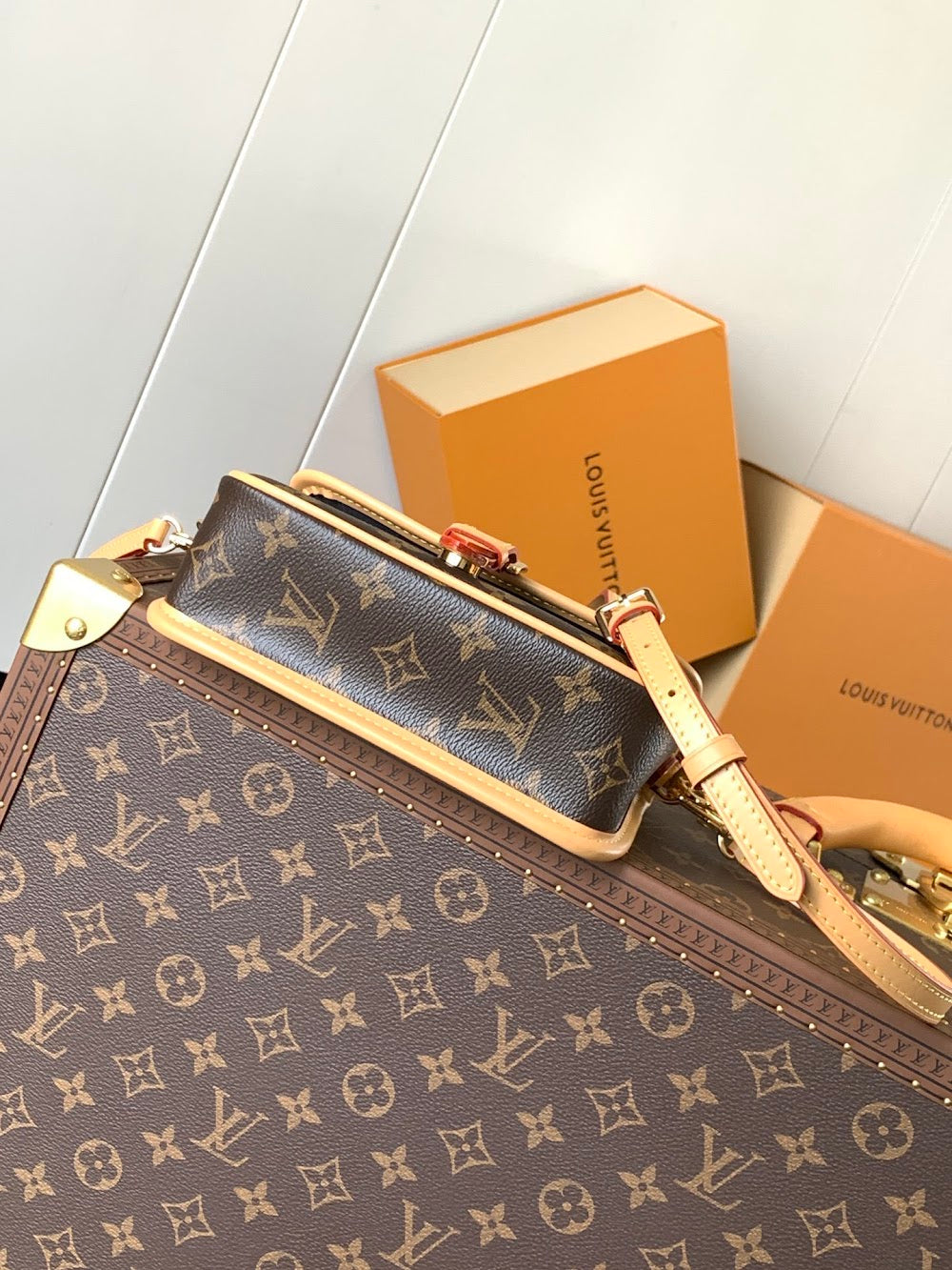 Anum Bags LVn Luxury Bag --79941