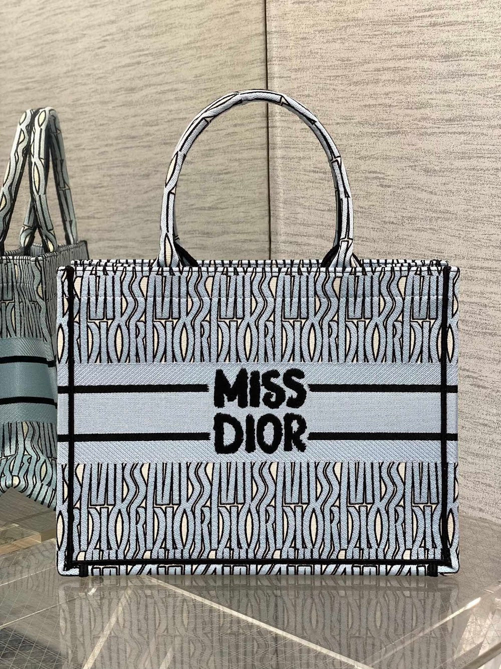 new-luxury-designer-bags-nm16084