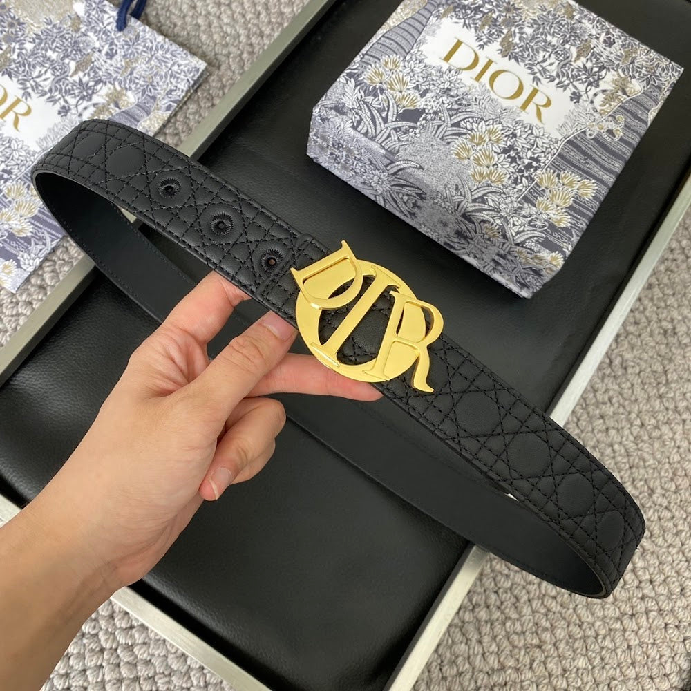 Anum Bags Diorn Luxury Belt --104877