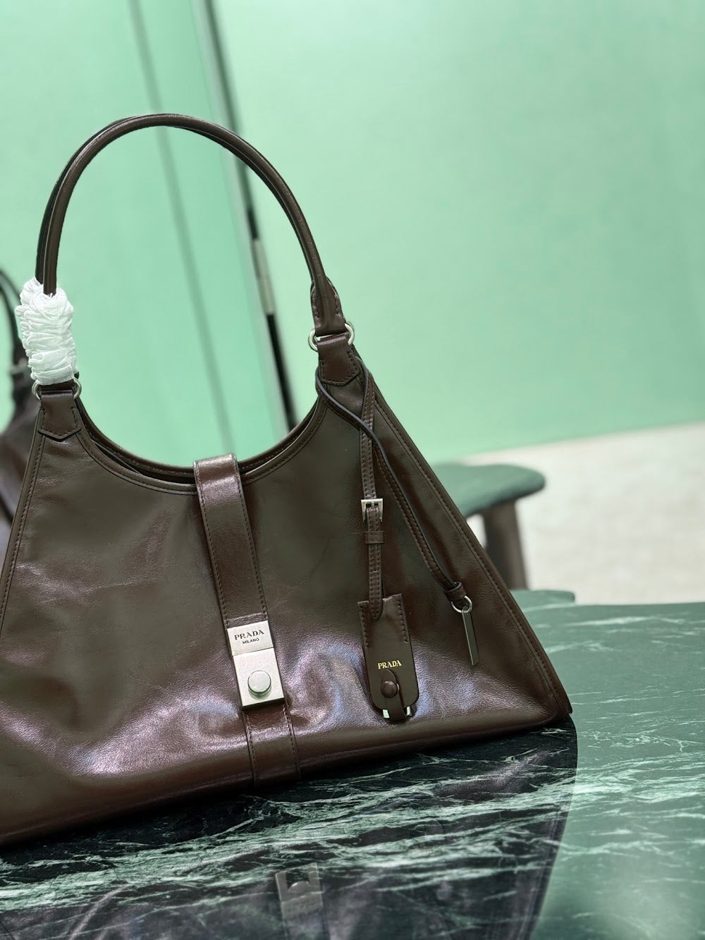 Ezyycart Bags Pradn Luxury Bag --102301