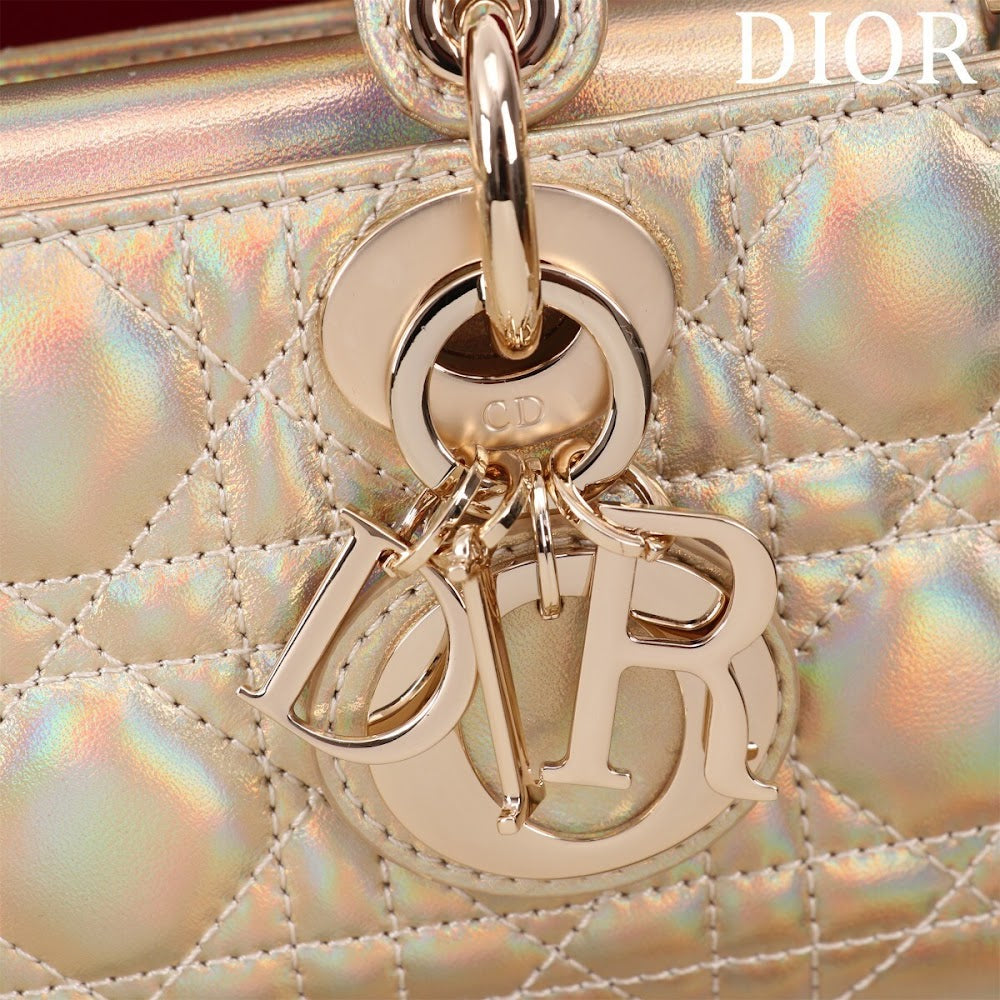 Anum Bags Diorn Luxury Bag --114733