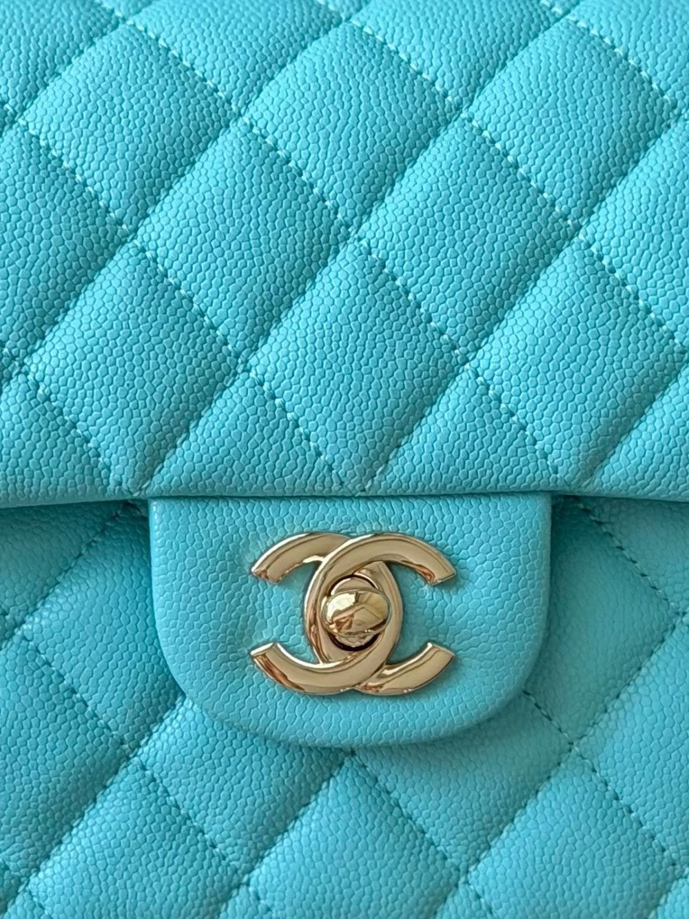 Anum Bags CHn Luxury Bag --113882