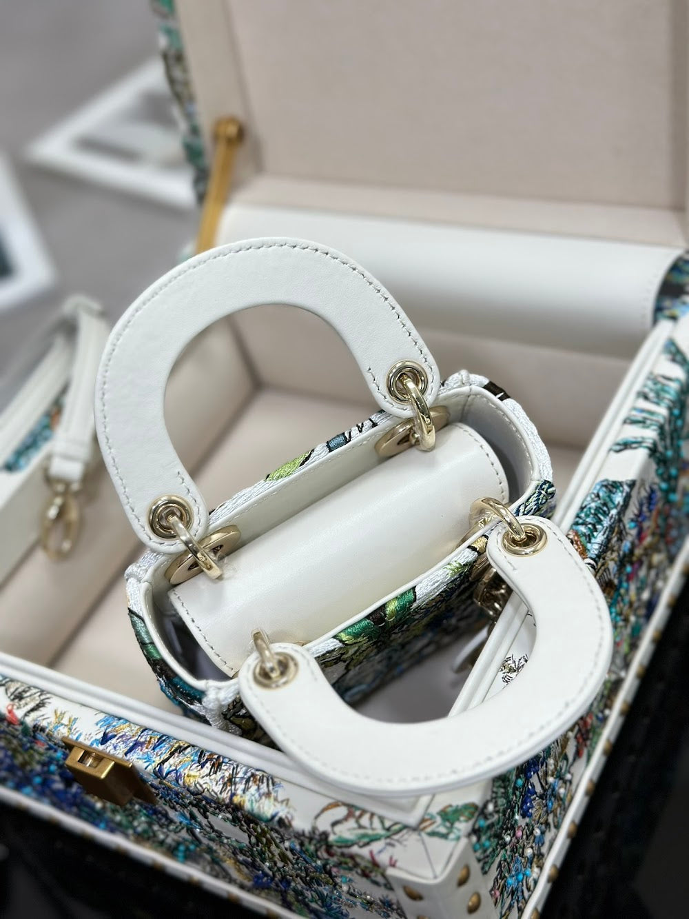 Anum Bags Diorn Luxury Bag --114460