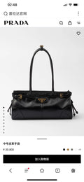 Ezyycart Bags Pradn Luxury Bag --102607