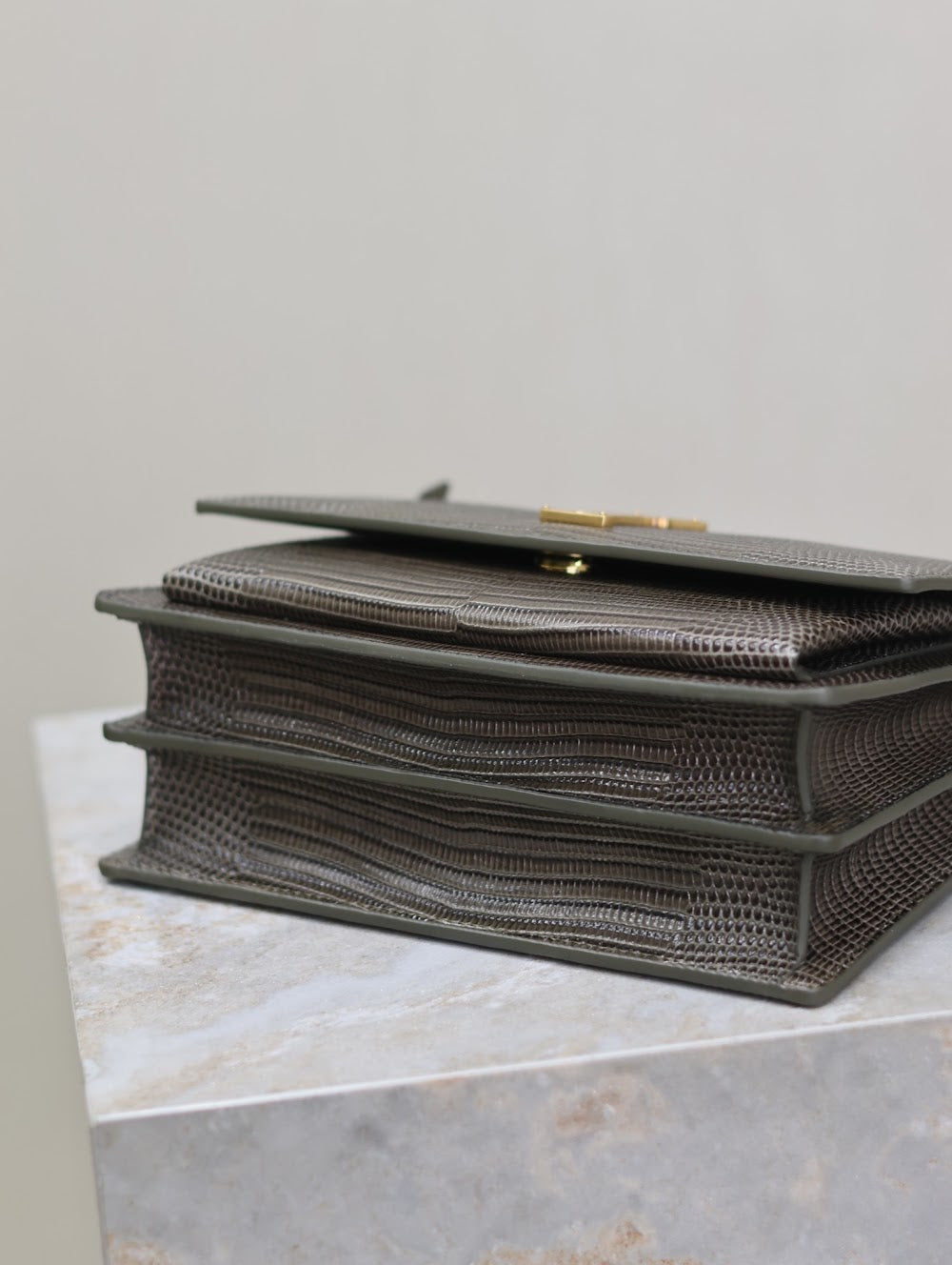 Ezyycart Bags YSLn Luxury Bag --119544
