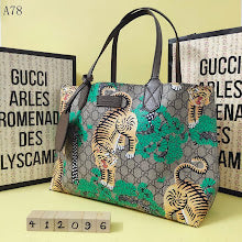new-designer-premium-bags-nm8917