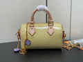 Anum Bags LVn Luxury Bag --80681