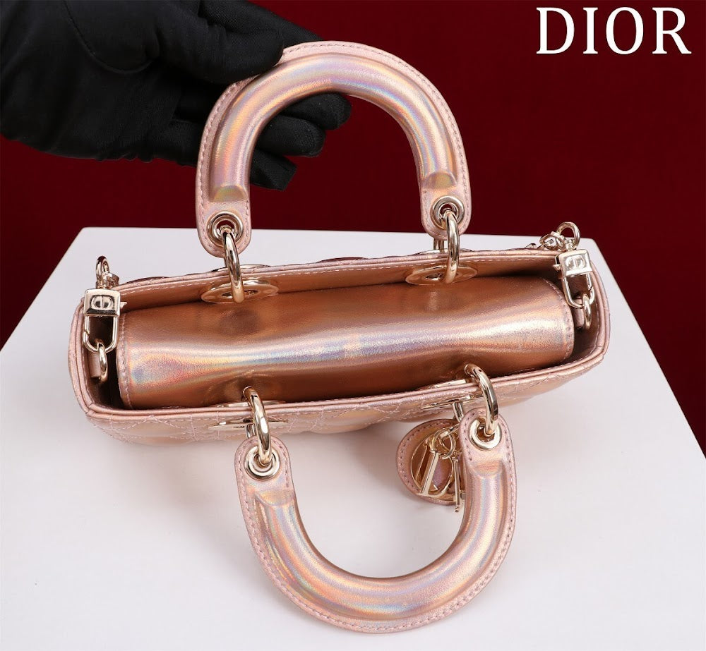 Anum Bags Diorn Luxury Bag --114737