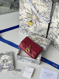 Anum Bags Diorn Luxury Bag --114490