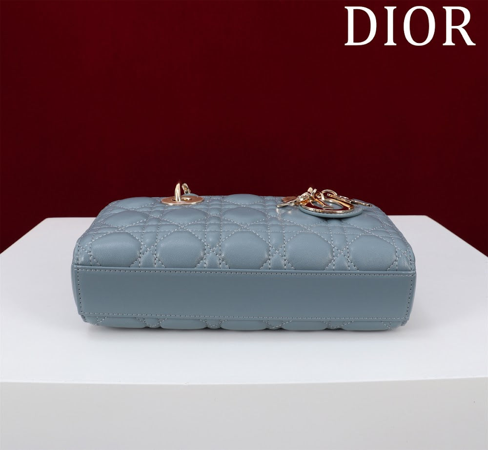 Anum Bags Diorn Luxury Bag --114720
