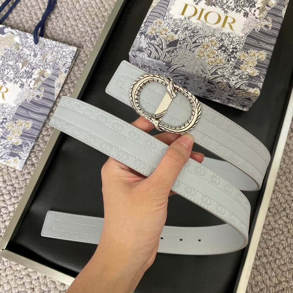 Anum Bags Diorn Luxury Belt --107764