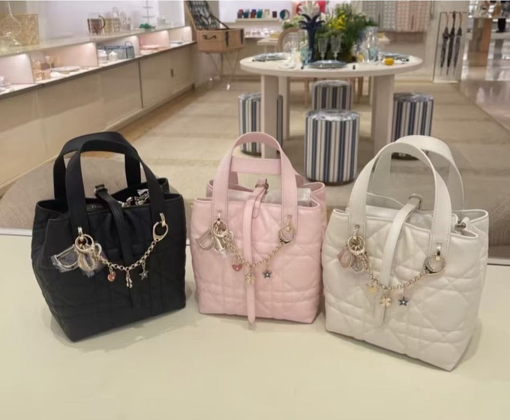 Ezyycart Bags Diorn Luxury Bag --115848