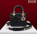 Ezyycart Bags Diorn Luxury Bag --115923