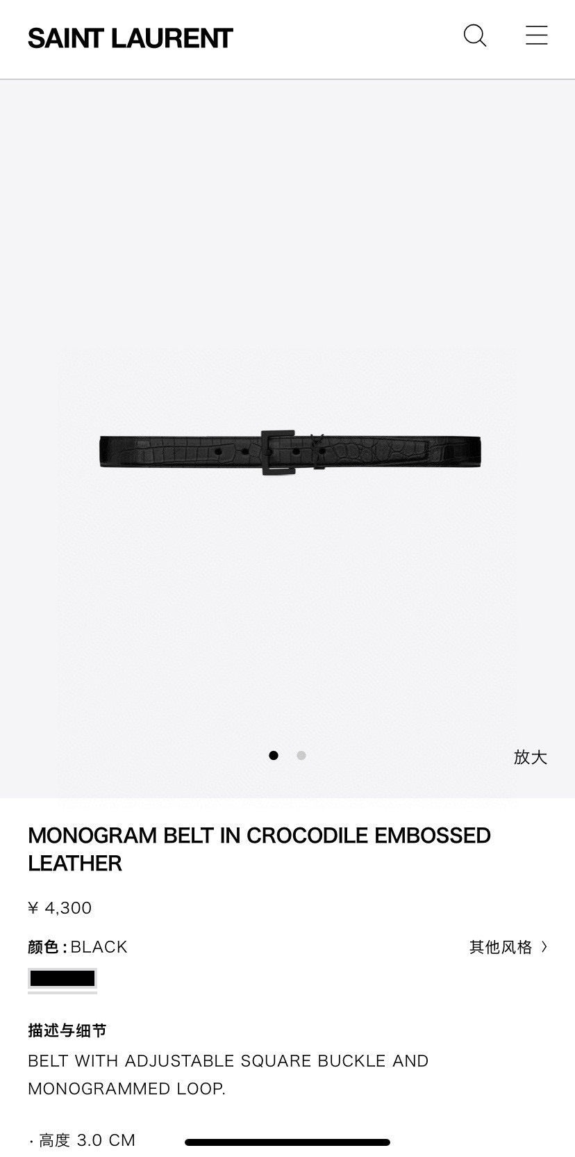 Ezyycart Bags YSLn Luxury Belt --107667