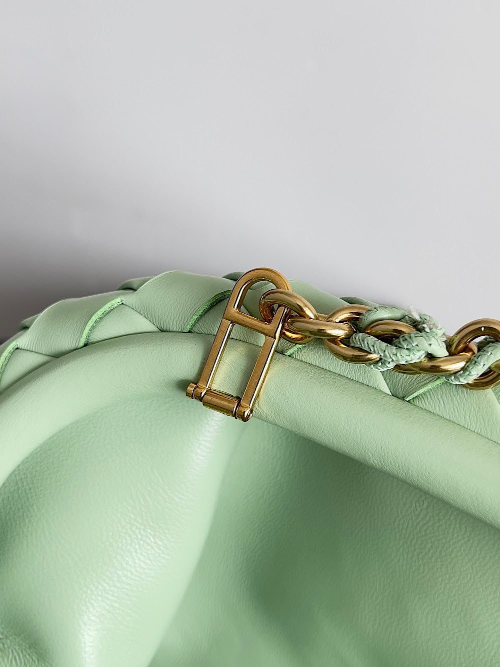 Ezyycart Bags Bottegan Luxury Bag --91077