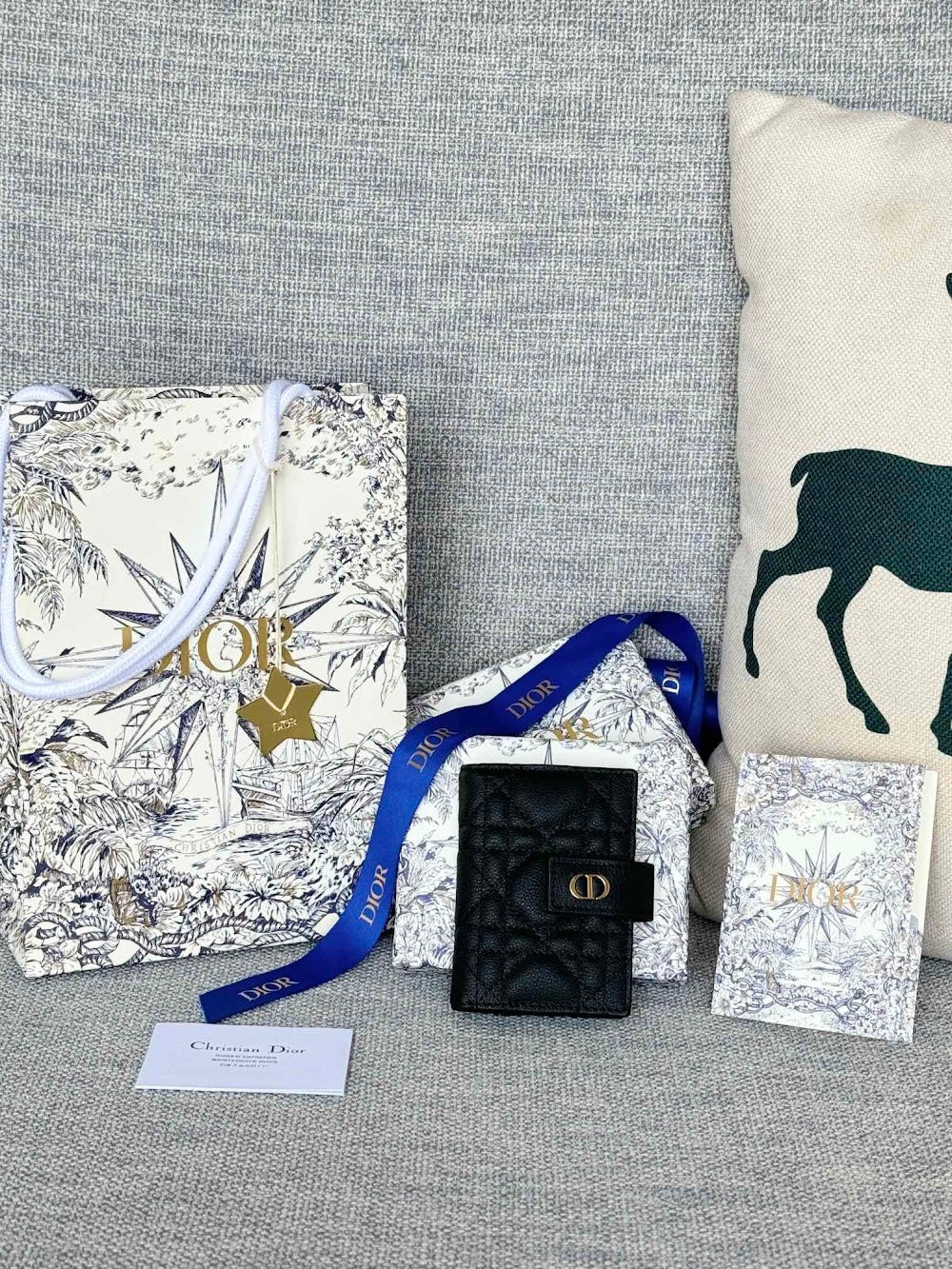 Anum Bags Diorn Luxury Bag --114572