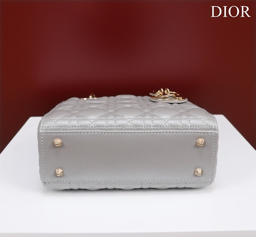 Ezyycart Bags Diorn Luxury Bag --115927
