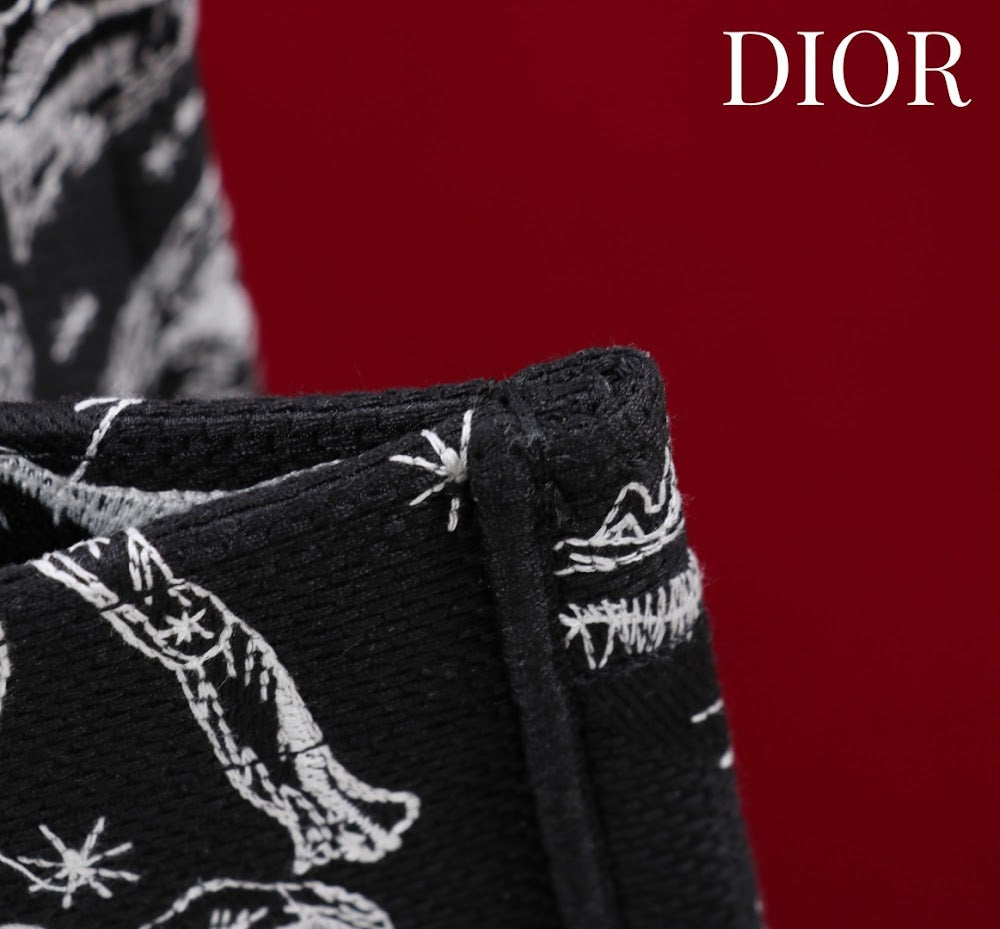 Anum Bags Diorn Luxury Bag --114891