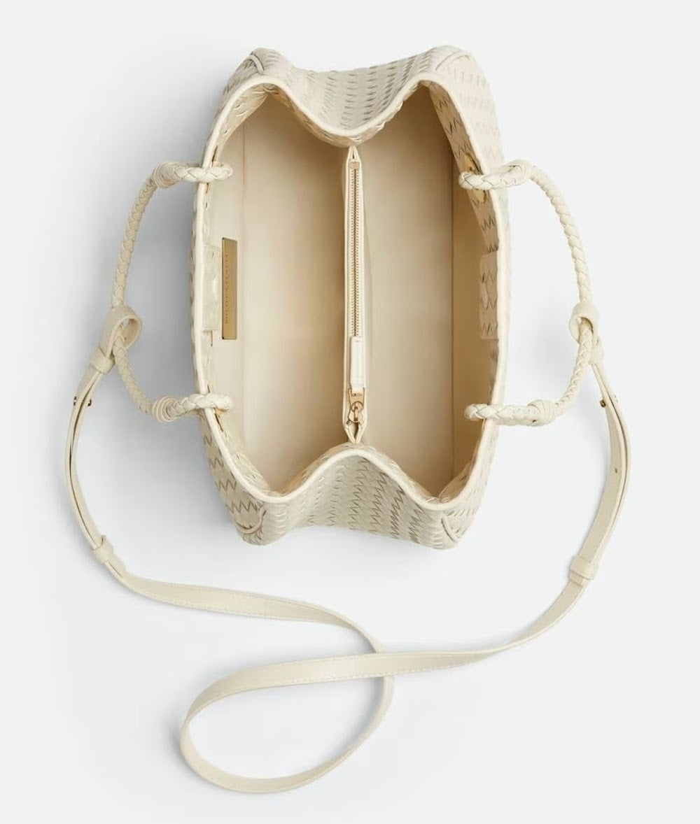 Ezyycart Bags Bottegan Luxury Bag --91485
