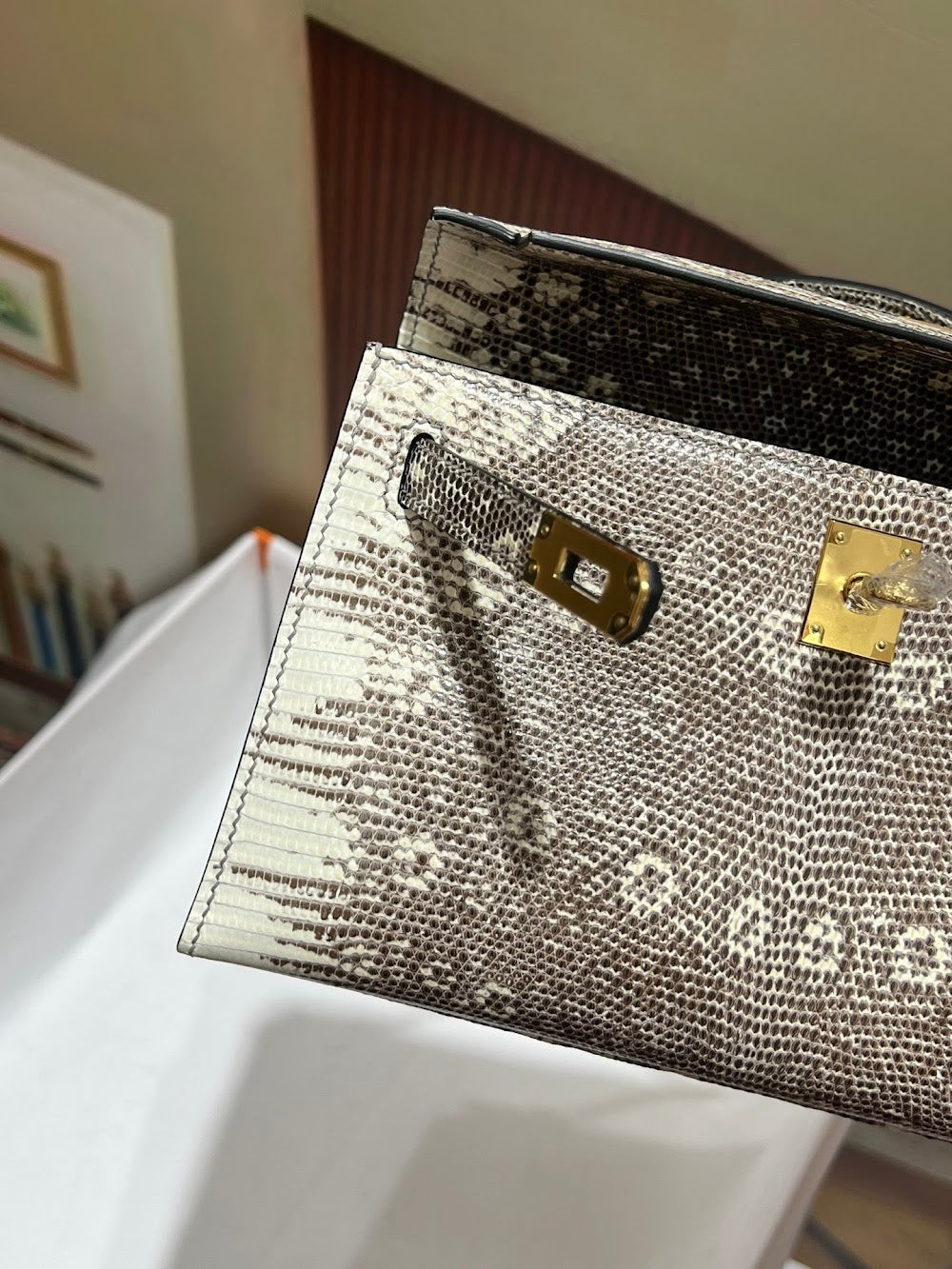 Anum Bags Hermesn Luxury Bag --117271