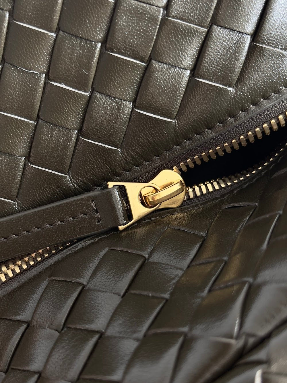 Ezyycart Bags Bottegan Luxury Bag --91285