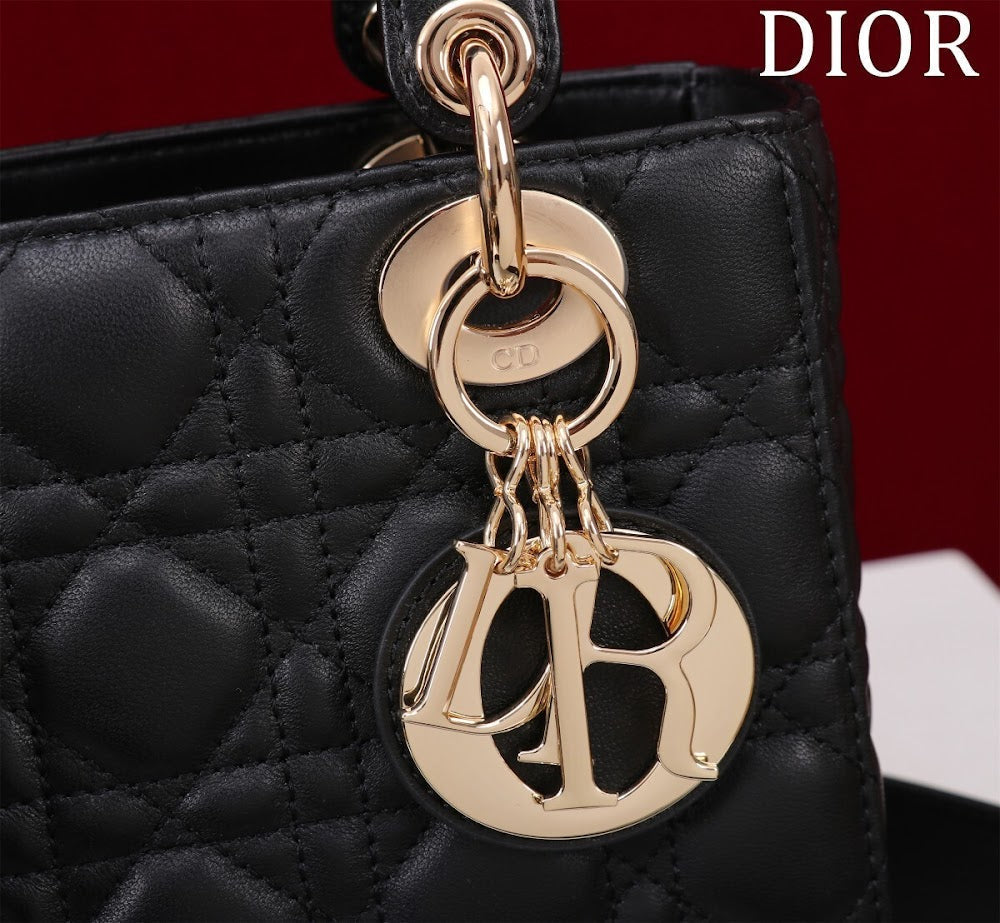 Ezyycart Bags Diorn Luxury Bag --115923