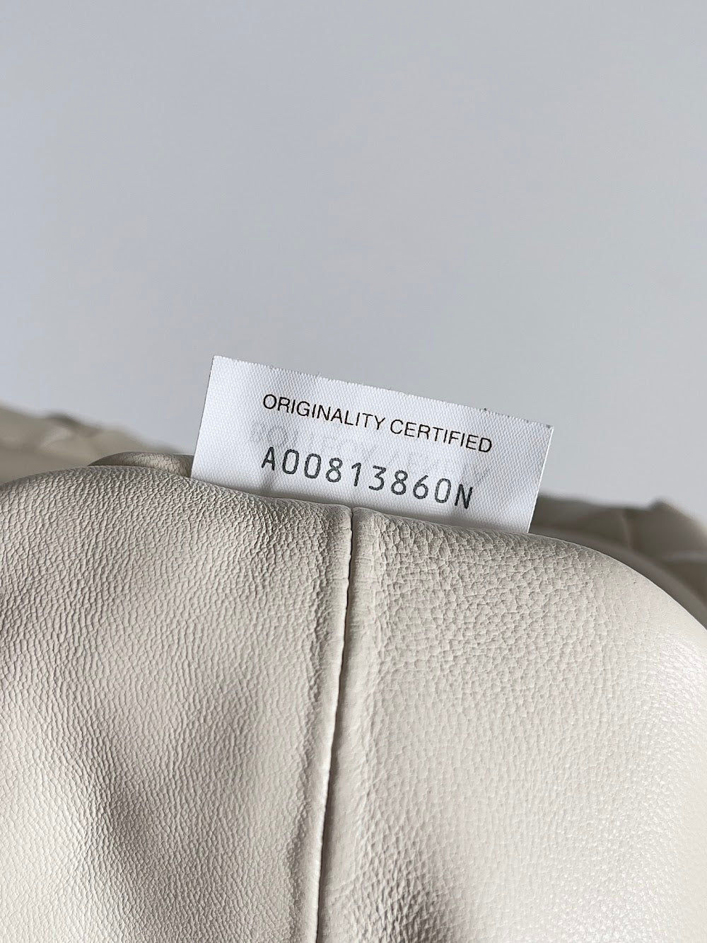 Ezyycart Bags Bottegan Luxury Bag --91267