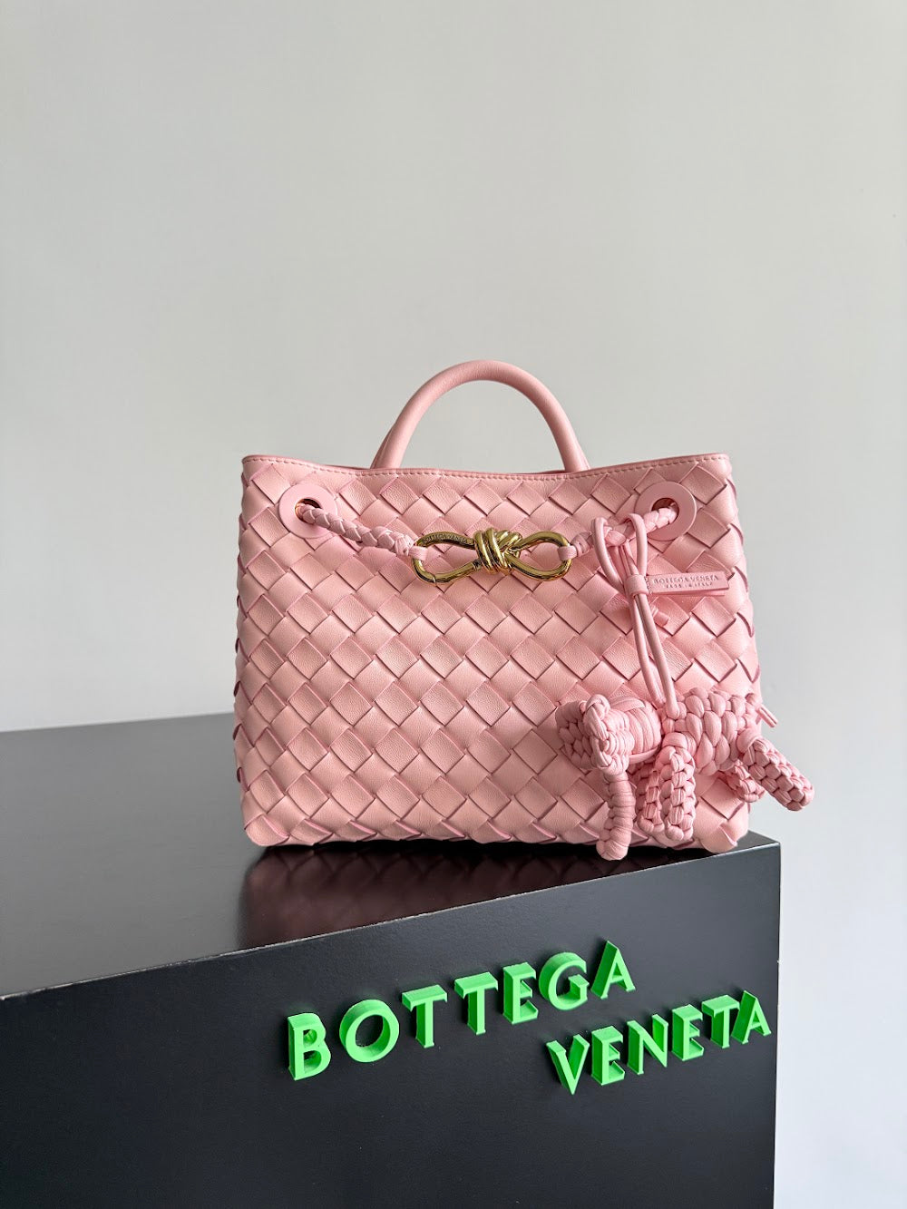 Ezyycart Bags Bottegan Luxury Bag --91463