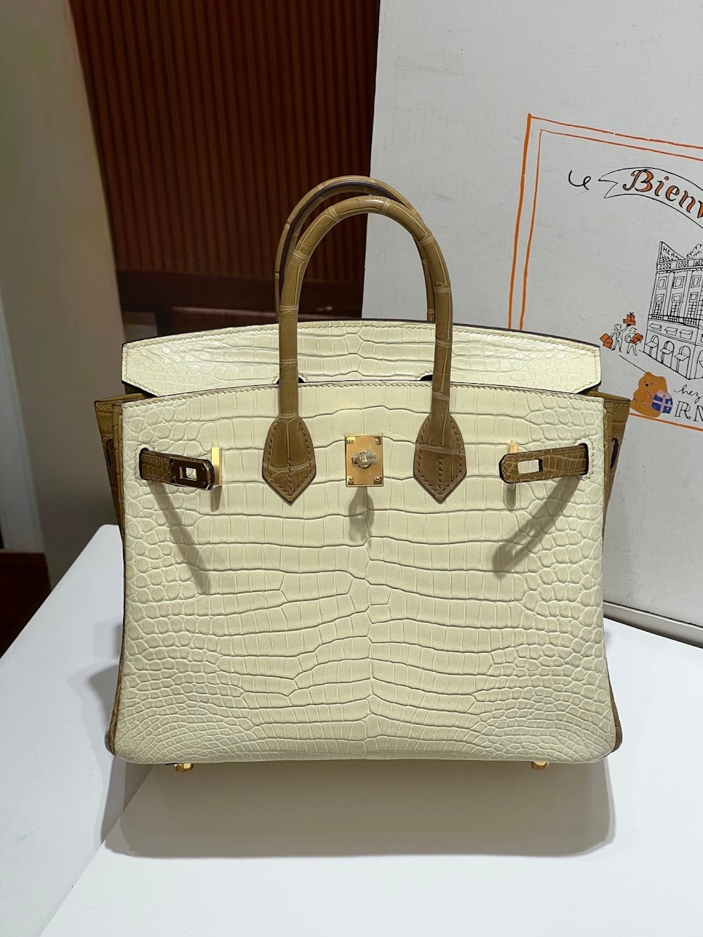 Anum Bags Hermesn Luxury Bag --117153