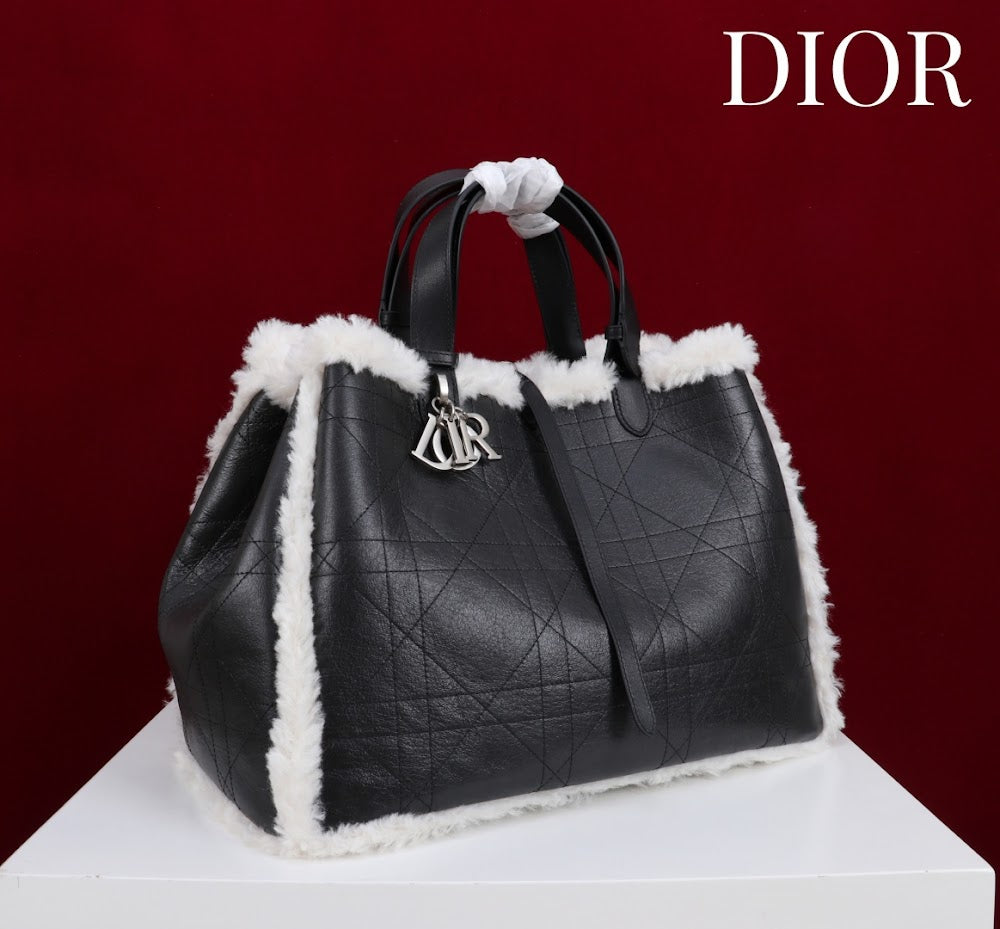 Anum Bags Diorn Luxury Bag --114890