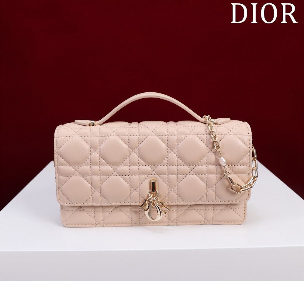 Ezyycart Bags Diorn Luxury Bag --116225