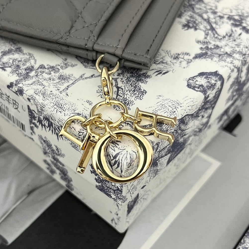 Ezyycart Bags Diorn Luxury Bag --115880
