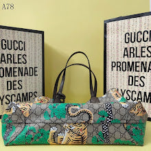 new-designer-premium-bags-nm8917